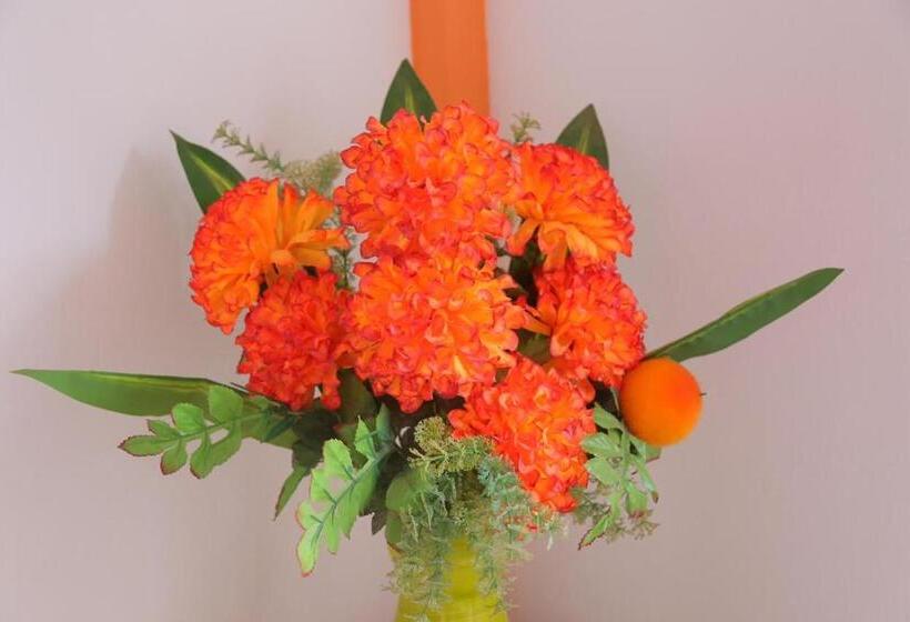 Casa Hotel Las Antillas