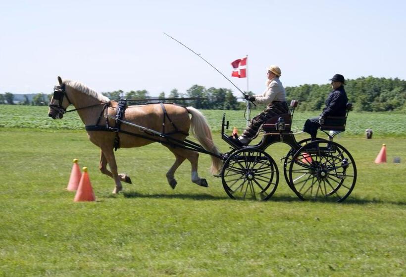 Holtegaard Bed & Breakfast