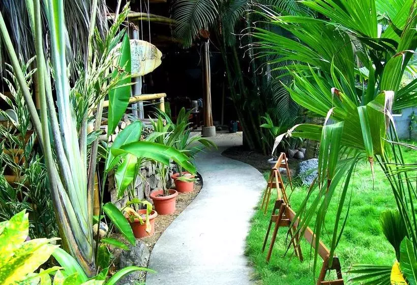Hostal Oloncito