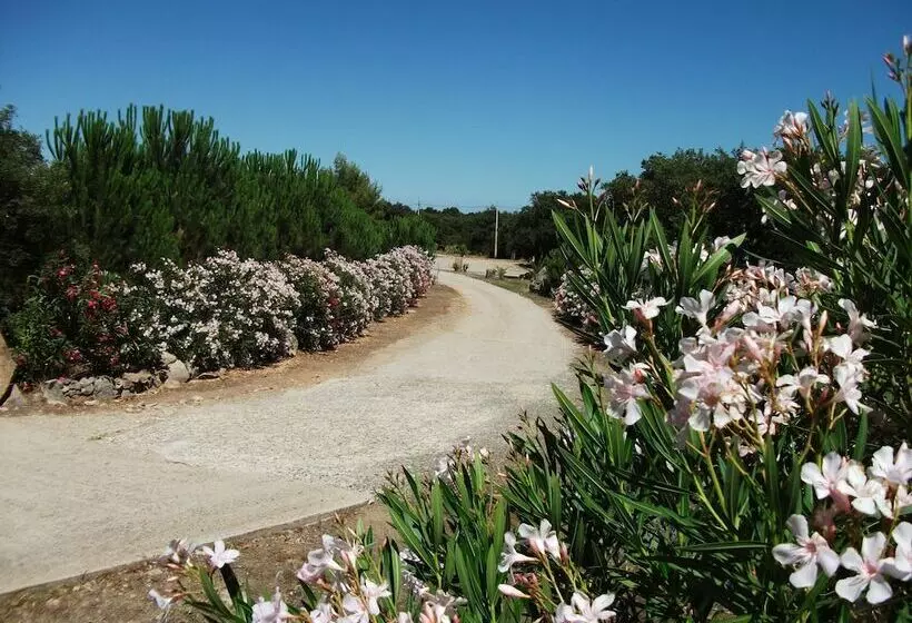 ホテル Agriturismo Rocce Bianche   Bungalows