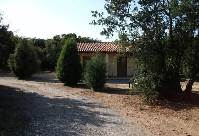 ホテル Agriturismo Rocce Bianche   Bungalows