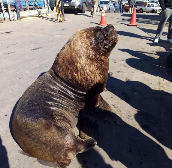 호텔 B&b Patrimonial Little Castle