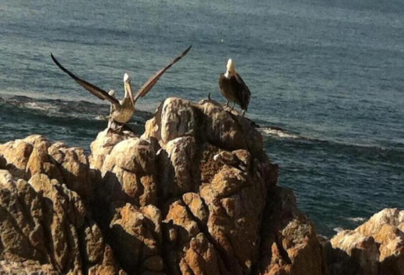 호텔 B&b Patrimonial Little Castle