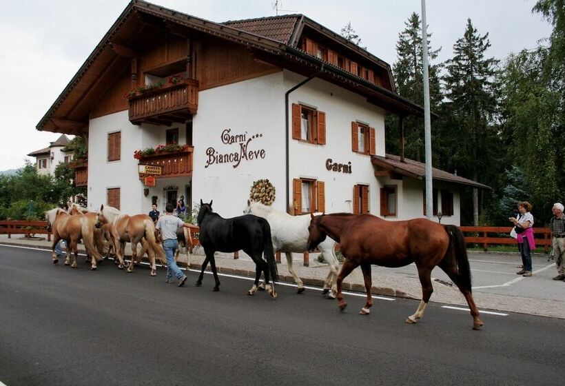 ホテル Garni Biancaneve Ruffrè Mendola