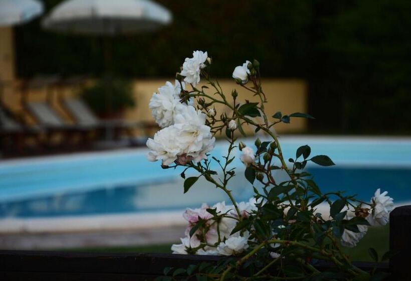 ホテル Il Poggiolo Di Parrano