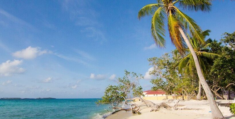 هتل Leisure Boutique