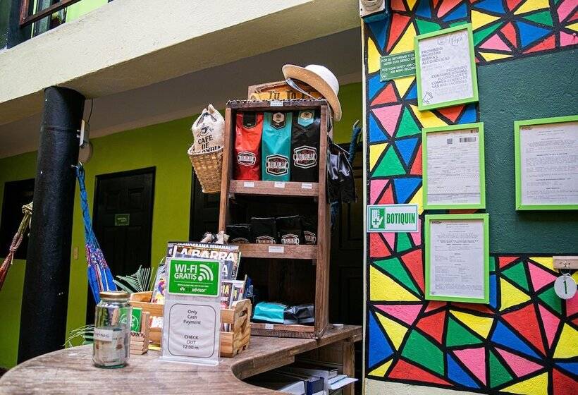 호텔 Onde Pepe Hostel