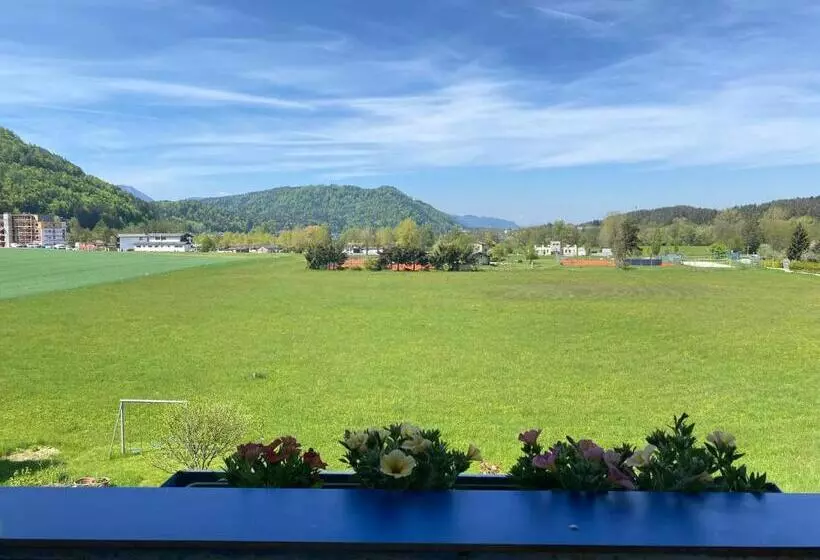 هتل Pension Carinthia