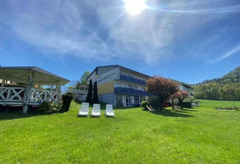هتل Pension Carinthia