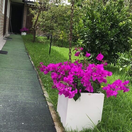 Hotel Springhills Quito Airport