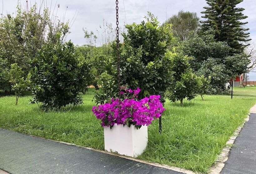 Hotel Springhills Quito Airport