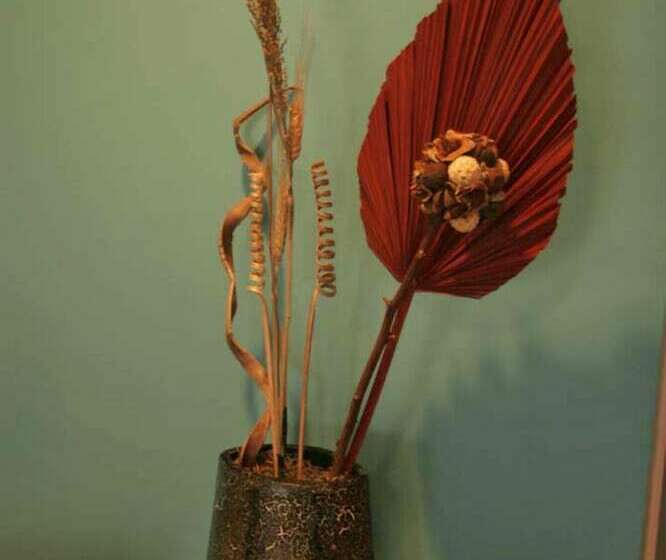 هتل Wind Chimes Inn