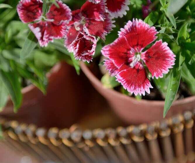 La Tua Casa Hotel Boutique