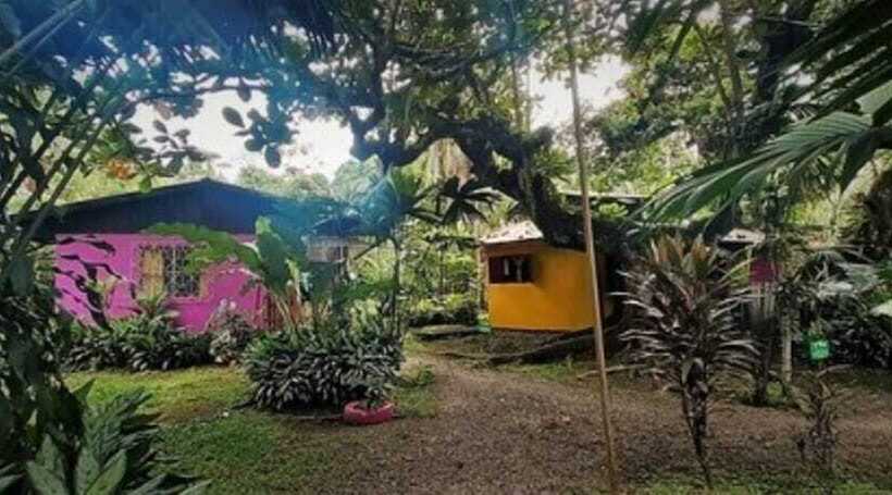 旅馆 Cabinas Algebra