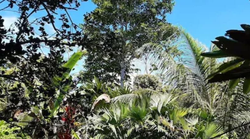 旅馆 Cabinas Algebra