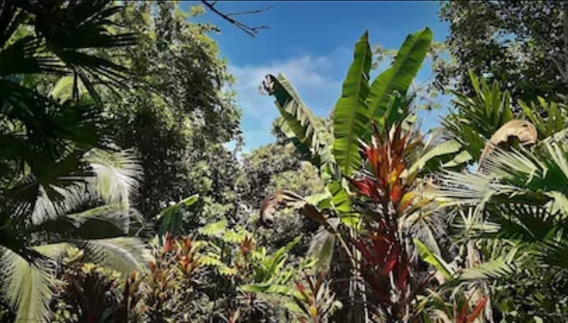 旅馆 Cabinas Algebra