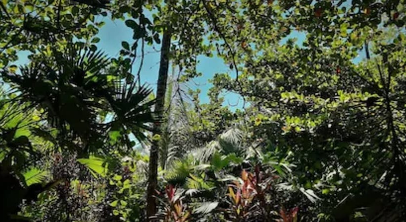 旅馆 Cabinas Algebra