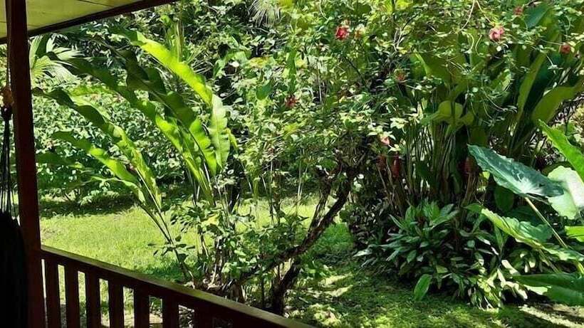 旅馆 Cabinas Algebra