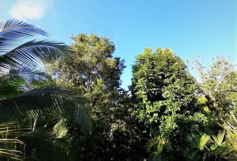 旅馆 Cabinas Algebra