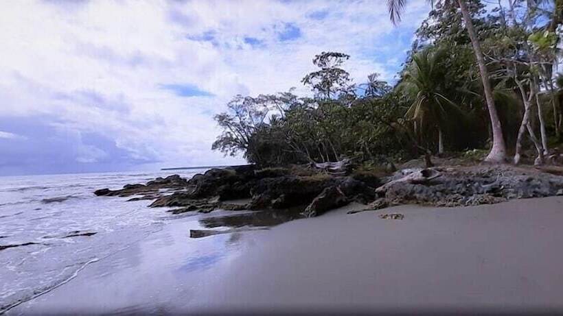 旅馆 Cabinas Algebra