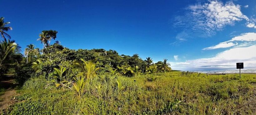 旅馆 Cabinas Algebra