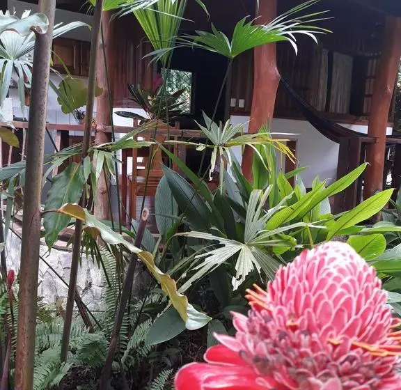 تختخواب و صبحانه Cabinas Nirvana Ecolodge