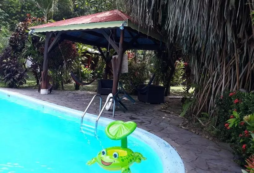 تختخواب و صبحانه Cabinas Nirvana Ecolodge