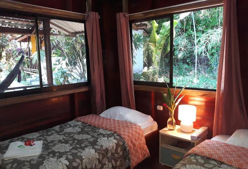 ベッドアンドブレックファースト Cabinas Nirvana Ecolodge