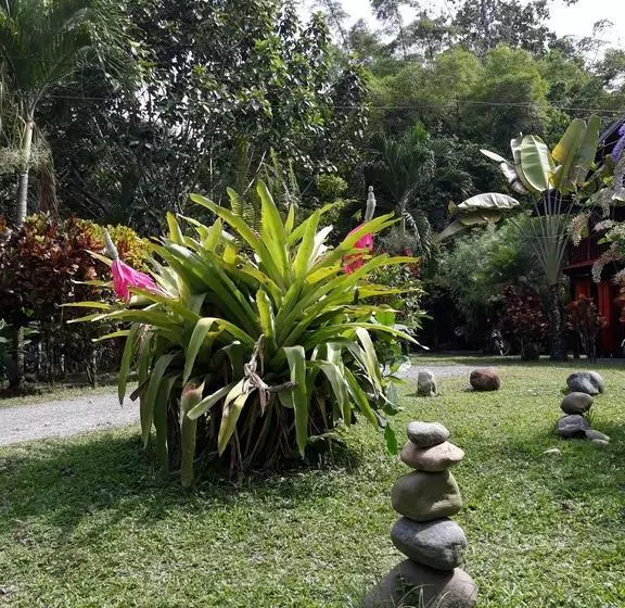 تختخواب و صبحانه Cabinas Nirvana Ecolodge