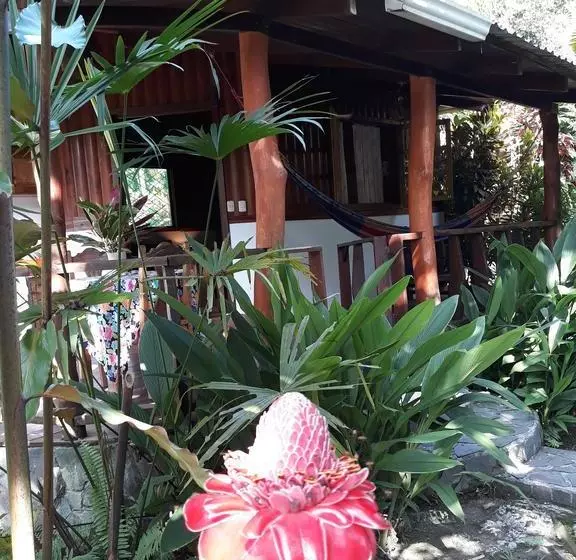 تختخواب و صبحانه Cabinas Nirvana Ecolodge