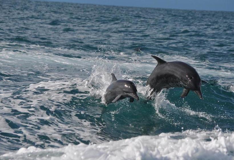 住宿加早餐  Natura Lodges