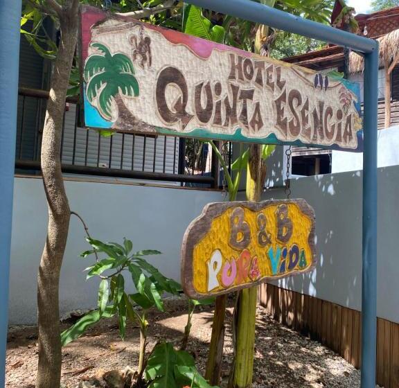 مبيت وإفطار Quinta Esencia