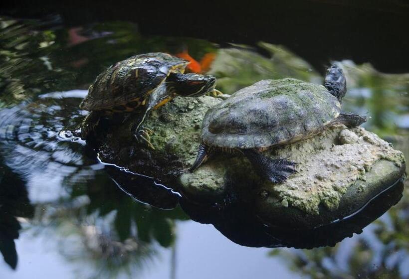 هتل Banana Azul Adults Only