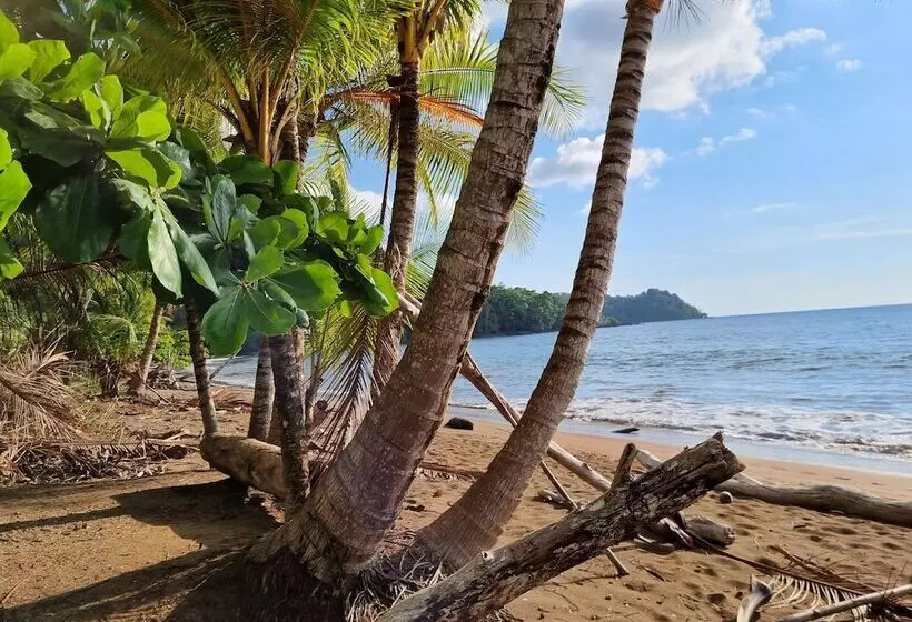 ホテル Cabinas Pura Vida B&b Tour Operator