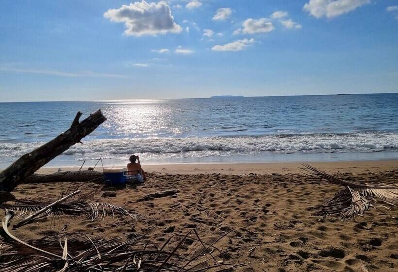 בית מלון כפרי Cabinas Pura Vida B&b Tour Operator