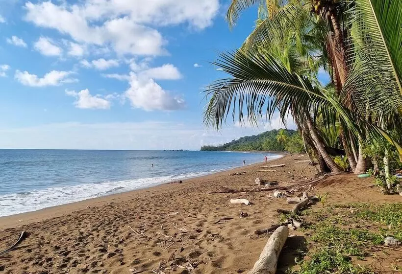 ホテル Cabinas Pura Vida B&b Tour Operator