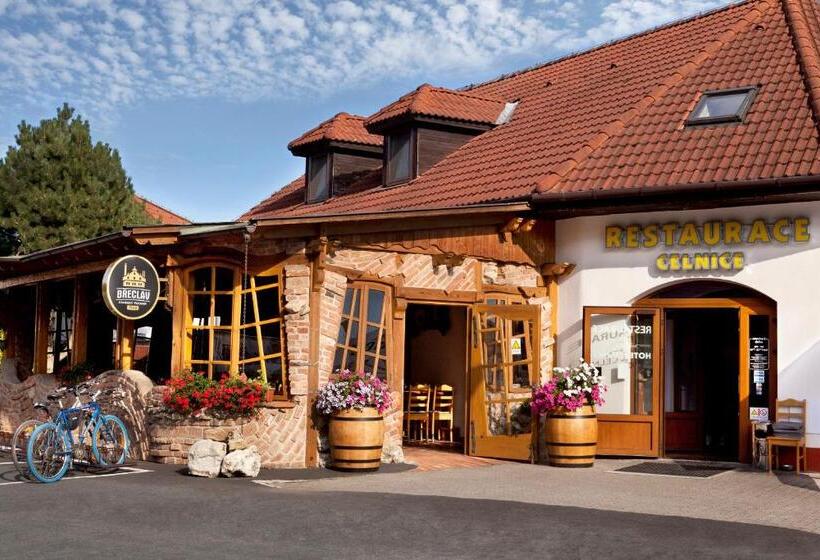 酒店 Celnice
