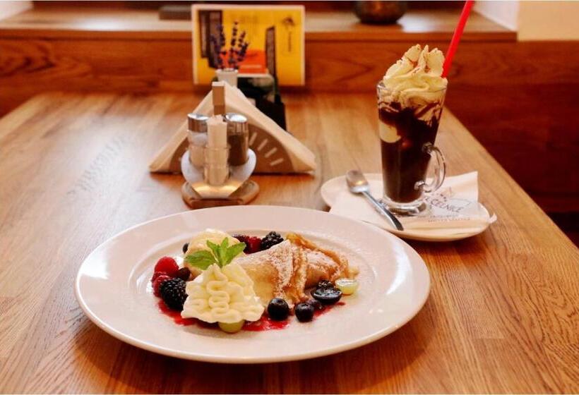 酒店 Celnice