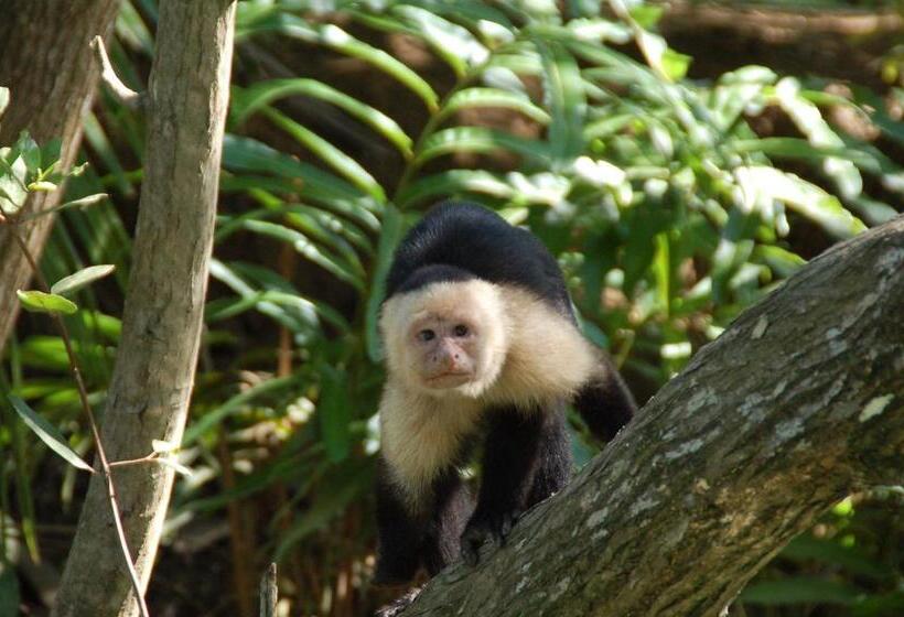 هتل Ecotica Boutique