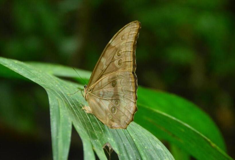 هتل Ecotica Boutique