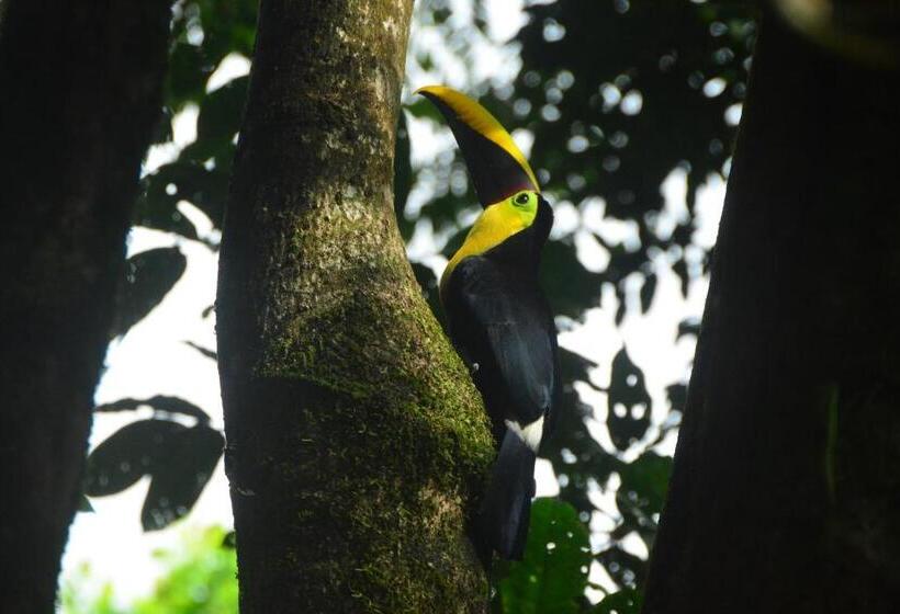 هتل Ecotica Boutique