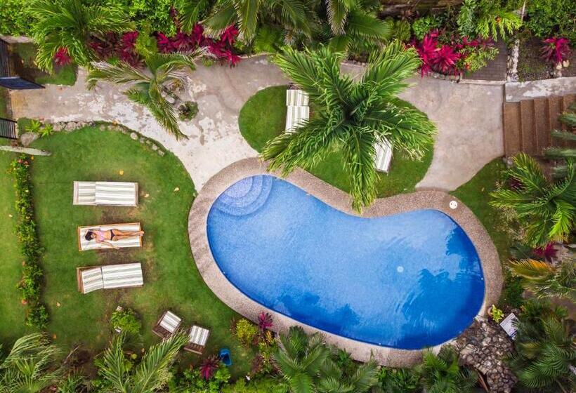 Отель Ola Bonita Beachfront Apart