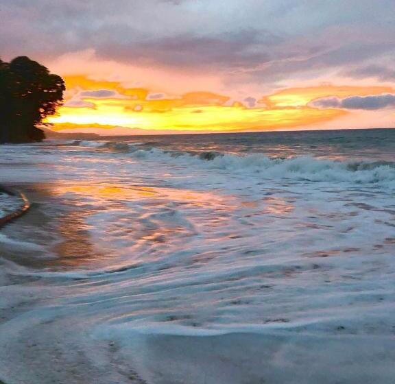 Отель Ola Bonita Beachfront Apart