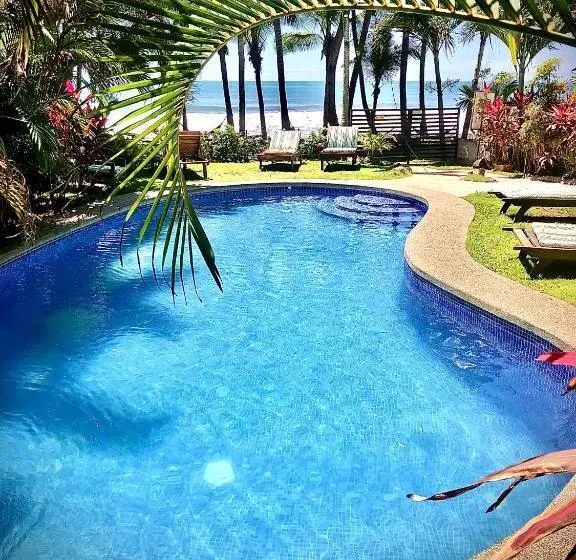 ホテル Ola Bonita Beachfront Apart