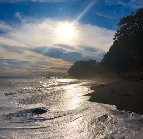 ホテル Ola Bonita Beachfront Apart