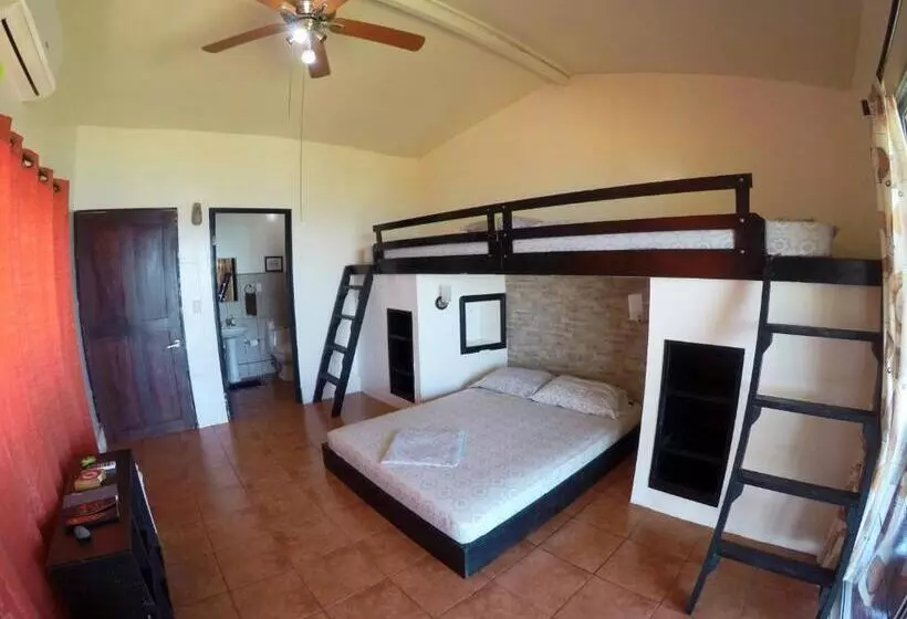 ホテル Pacheco Tours Beach Cabins