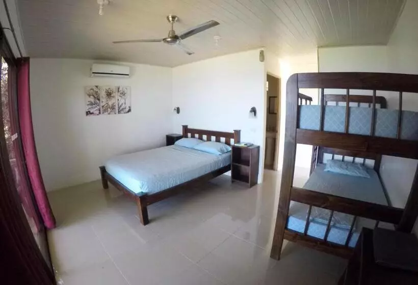 ホテル Pacheco Tours Beach Cabins