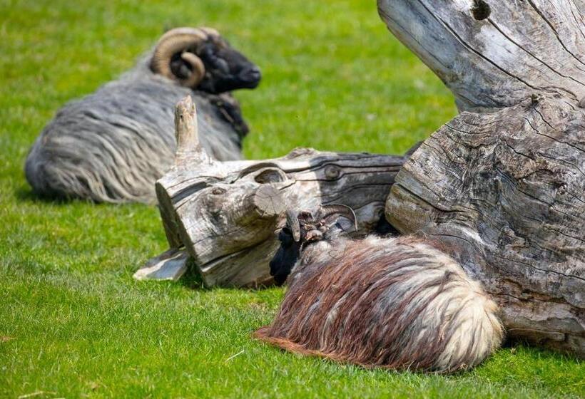 酒店 Sonnenhof Apartments