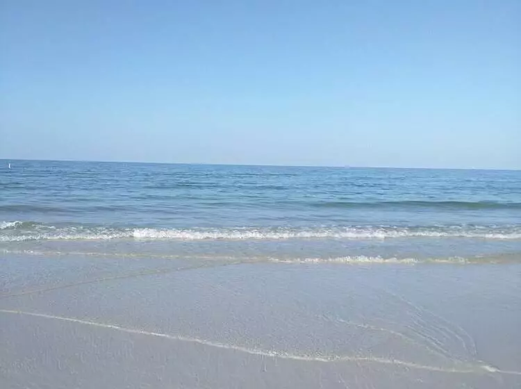 ホテル The Inn On Siesta Key