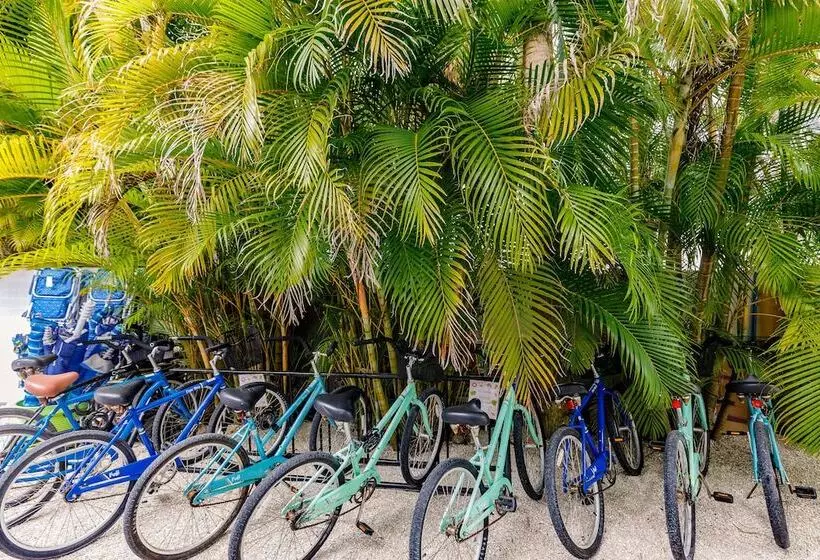 ホテル The Inn On Siesta Key